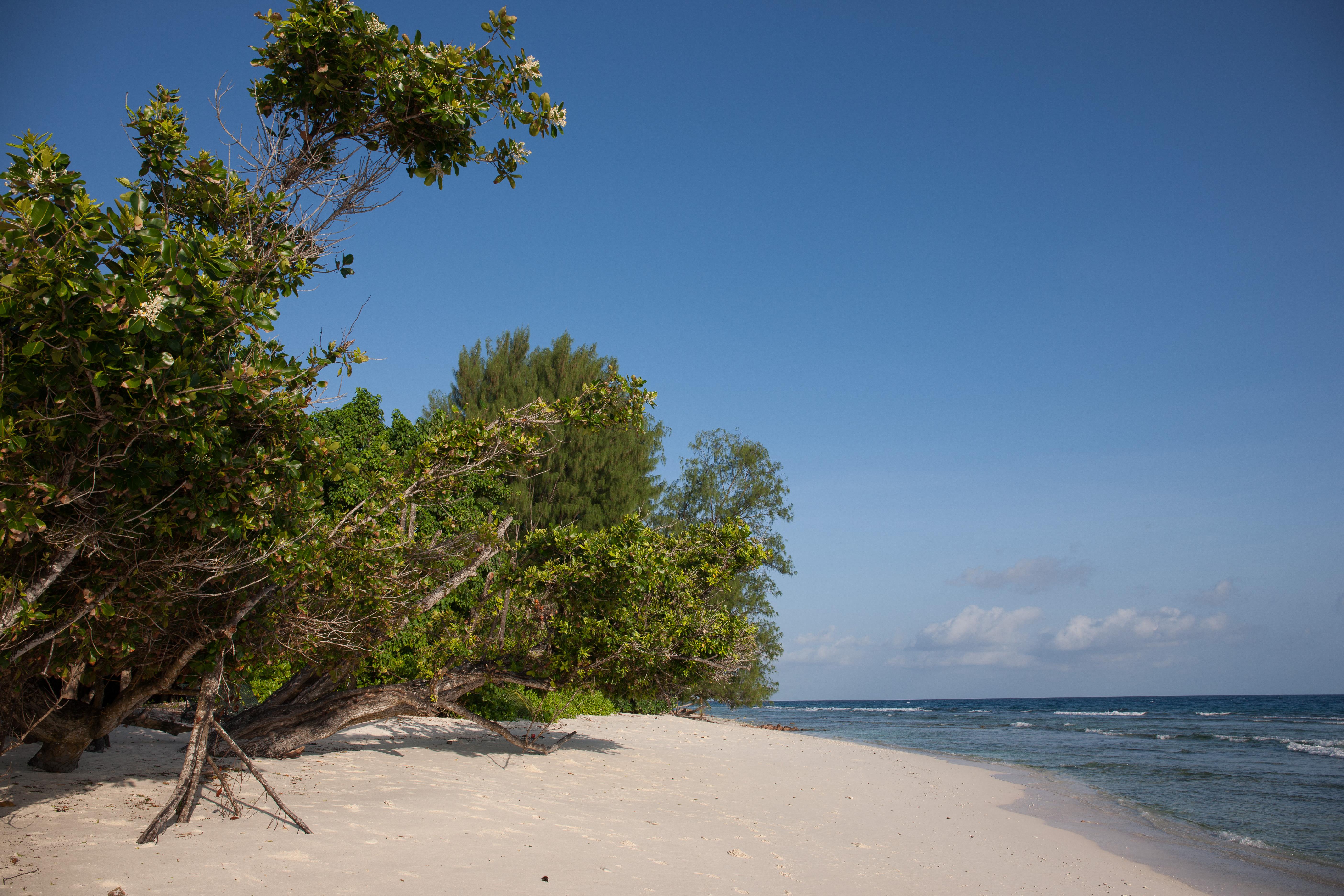 Le Relax Luxury Lodge (Adults Only) Insel Insel La Digue Exterior foto